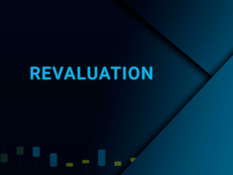 Revaluation Reserve Online Demat Trading And Mutual Fund Investment 